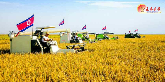 북한 주민들이 농기계를 이용해 쌀을 수확하는 모습. 노동신문, 뉴스1