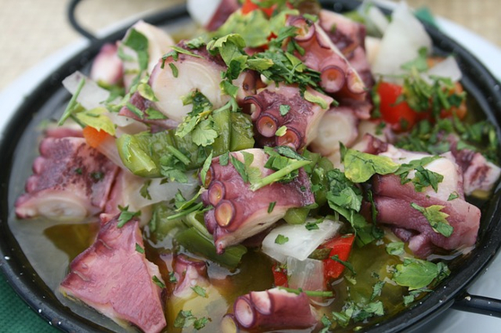 스페인 갈라시아 지방의 문어 요리. 기사 내용의 이해를 돕기 위한 자료사진. 픽사베이