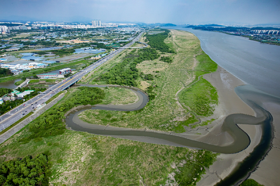 2021년 국내 24번째 람사르습지로 등록된 경기도 고양시 장항습지 전경. 사진 고양시