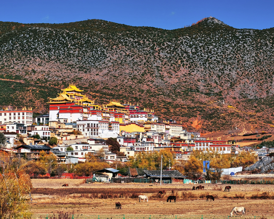 윈난성 최대의 티베트 불교 사원 송찬림사. 샹그릴라의 랜드마크이자 인기 관광지다. 티베트 고원과 이국적인 사원을 배경으로 인생 사진을 담으려는 중국 MZ세대의 발길이 끊이지 않는다.
