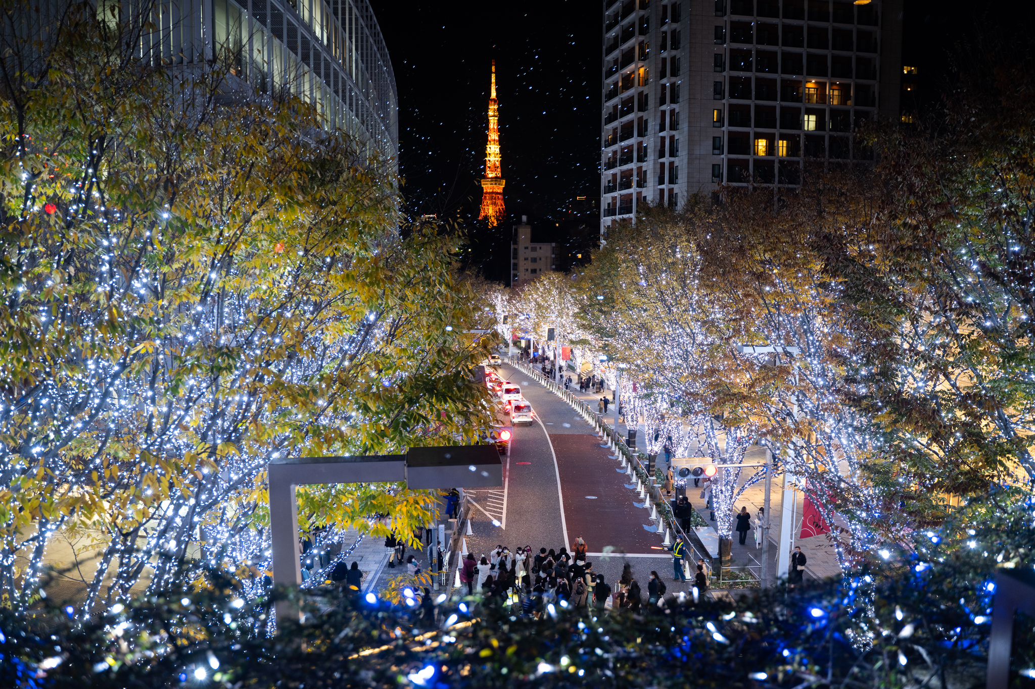 지난 4일 일본 도쿄 롯폰기 일대가 크리스마스와 새해를 맞아 화려한 조명으로 물들어 있다. 신화=연합뉴스
