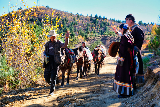 해발 3300m에 위치한 샹그릴라에는 여전히 말을 운송 수단 삼아 살아가는 이들이 있다. 