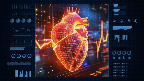 그래픽 이가진·박지은