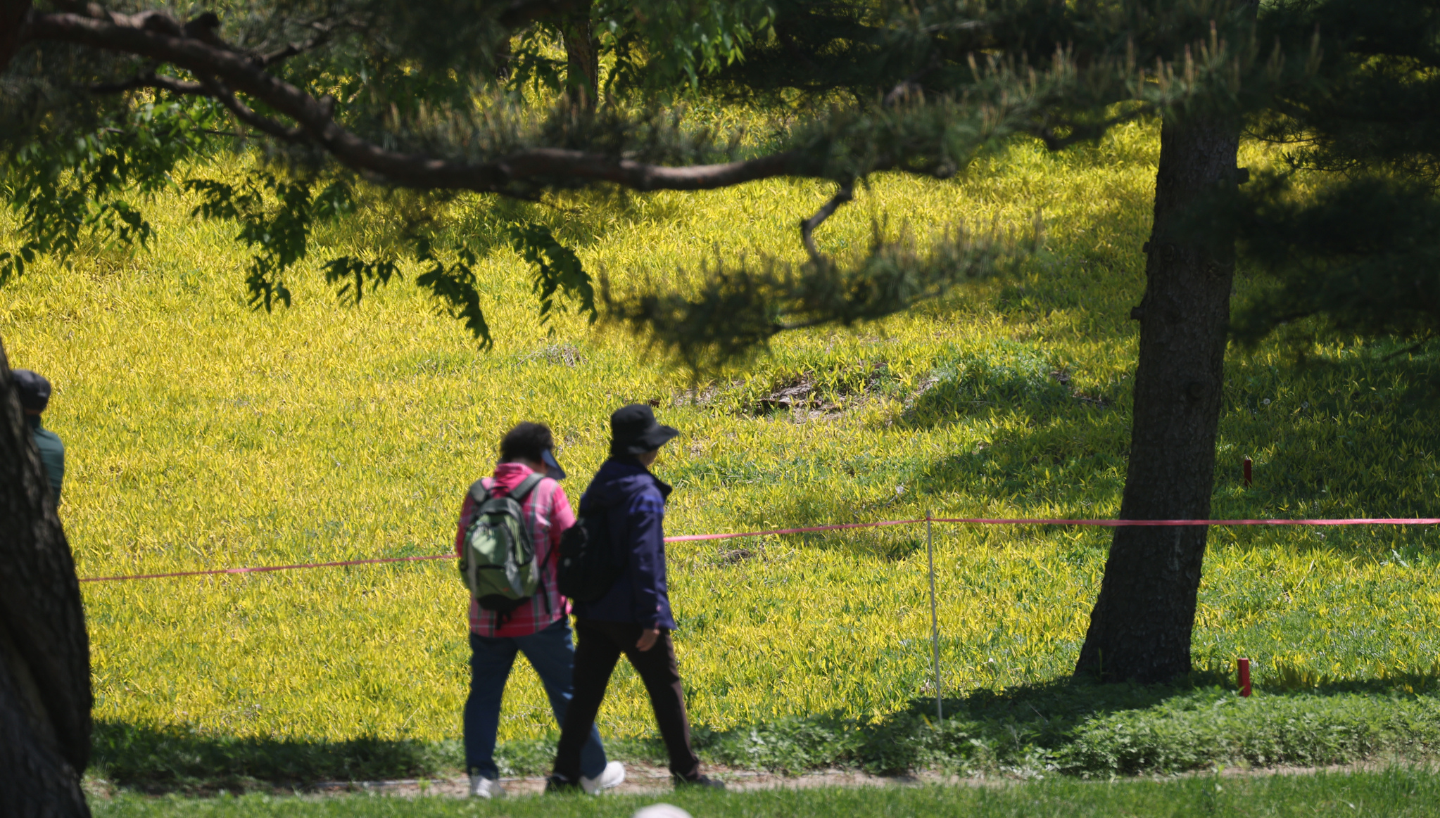 지난 5월 수도권 모 골프장을 산책 중인 시민들. 사진은 기사와 관련 없음. 뉴스1