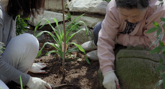 다큐 '청와대 건너 붉은 벽돌집'의 한 장면. 사진 드림팩트엔터테인먼트