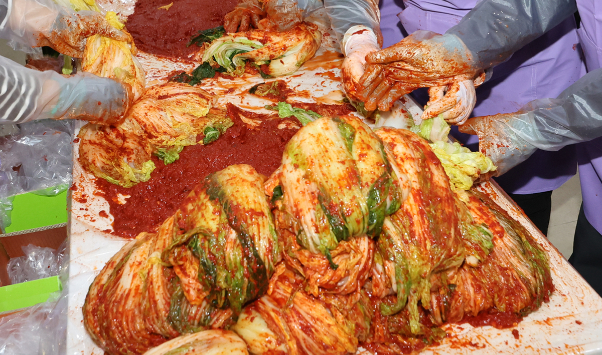 김장 김치 관련 사진. 연합뉴스