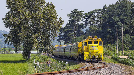 새해부터는 인구감소지역을 여행하는 국민에게 여행 경비의 절반을 지역화폐로 돌려주는 지역사랑 휴가 지원제도가 시작된다. 사진은 용산과 익산을 잇는 관광열차 '서해금빛열차'의 모습. 사진 코레일