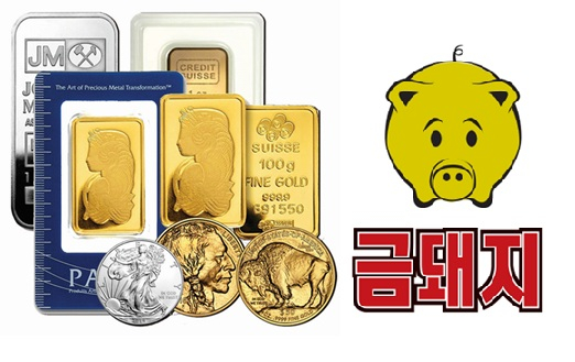 금돼지