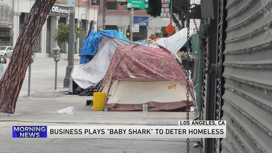 KTLA 캡쳐