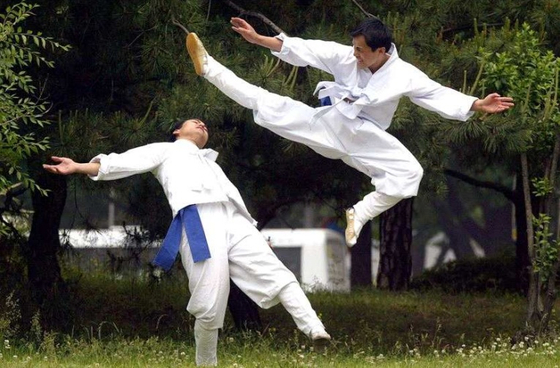 위대태껸 국무원