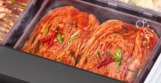 LG 디오스 오브제 컬렉션 김치톡톡