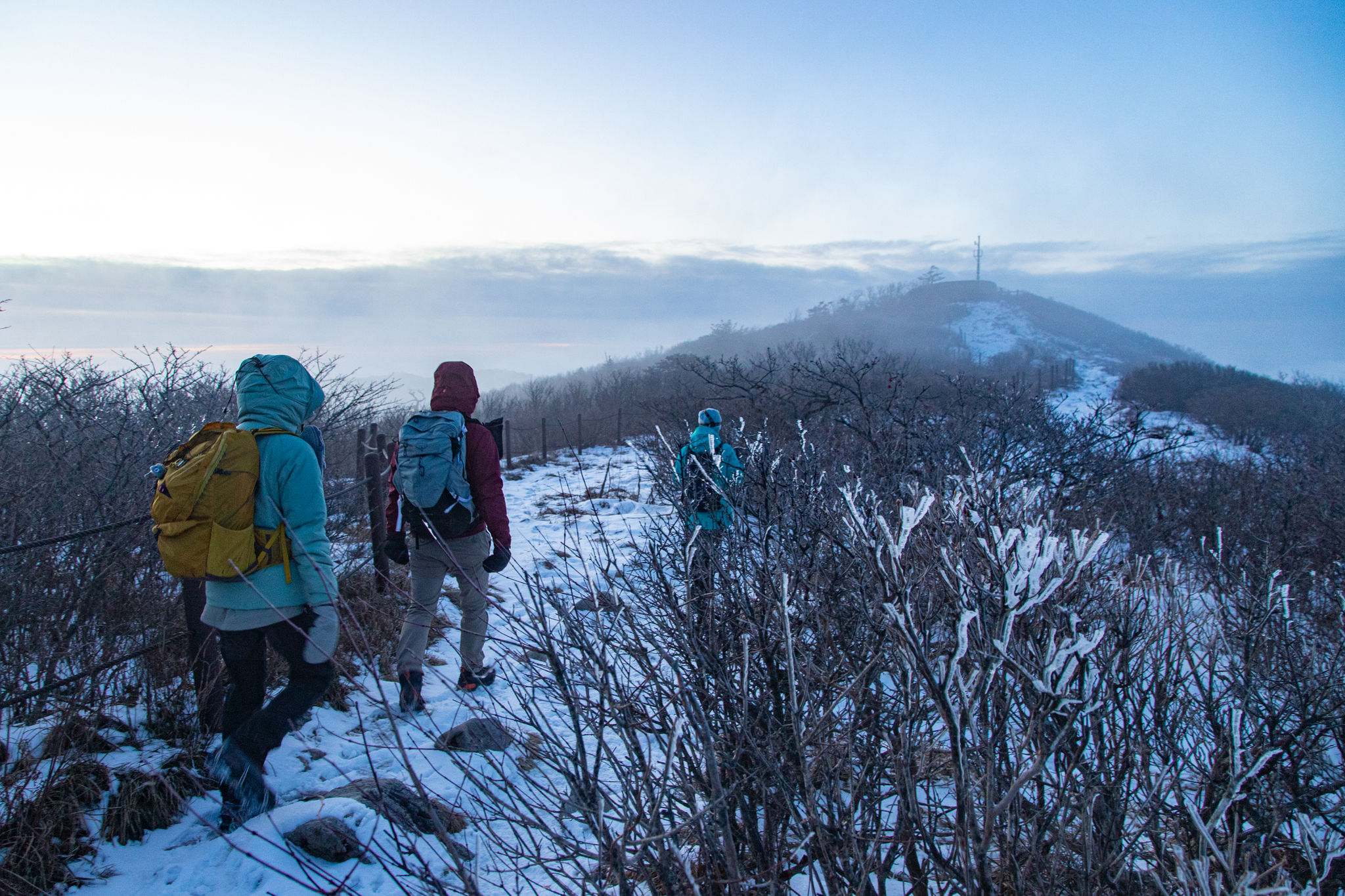 태백산은 겨울 산행에 제격이다. 2시간 안에 정상에 오를 수 있고, 설경이나 상고대를 볼 확률도 높아서다. 능선을 따라 천제단으로 가는 산행객들.  