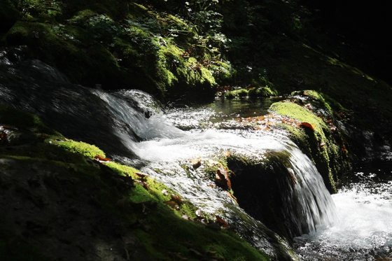 태백산 국립공원은 한강 발원지인 검룡소를 품고 있다. 태백산은 물이 많은 산이다.