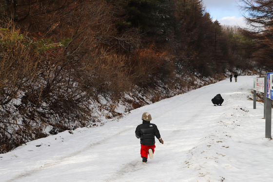 만항재에서 정선 방향으로 이어진 운탄고도는 거의 평지여서 산책하듯 걷기 좋다.
