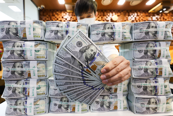 연일 계속되는 달러·원 환율 고공행진에 시중은행의 달러 예금에 대규모 자금이 몰리고 있다. 불안정한 금융 시장 속에서 환차익을 노리는 투자 심리가 확산되고 있는 것이다. 서울 중구 하나은행 위변조대응센터에서 직원이 달러화를 정리하는 모습. 뉴스1