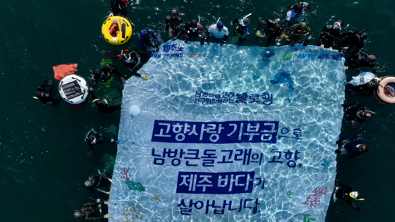 지난 2023년 제주도 고향사랑기부금으로 진행한 남방큰돌고래 플로빙. 사진 제주도