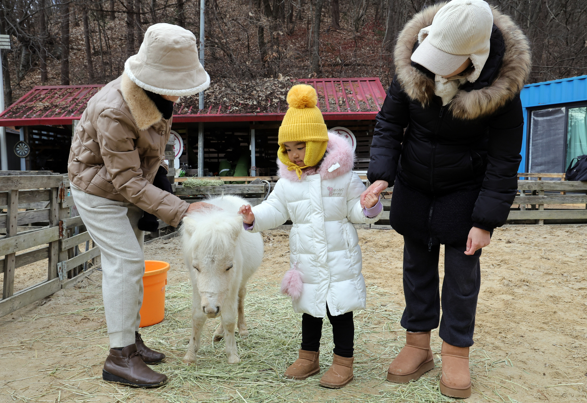 할머니와 엄마와 나들이 나온 3살 꼬마아이는 금새 작은 말과 친해졌다.