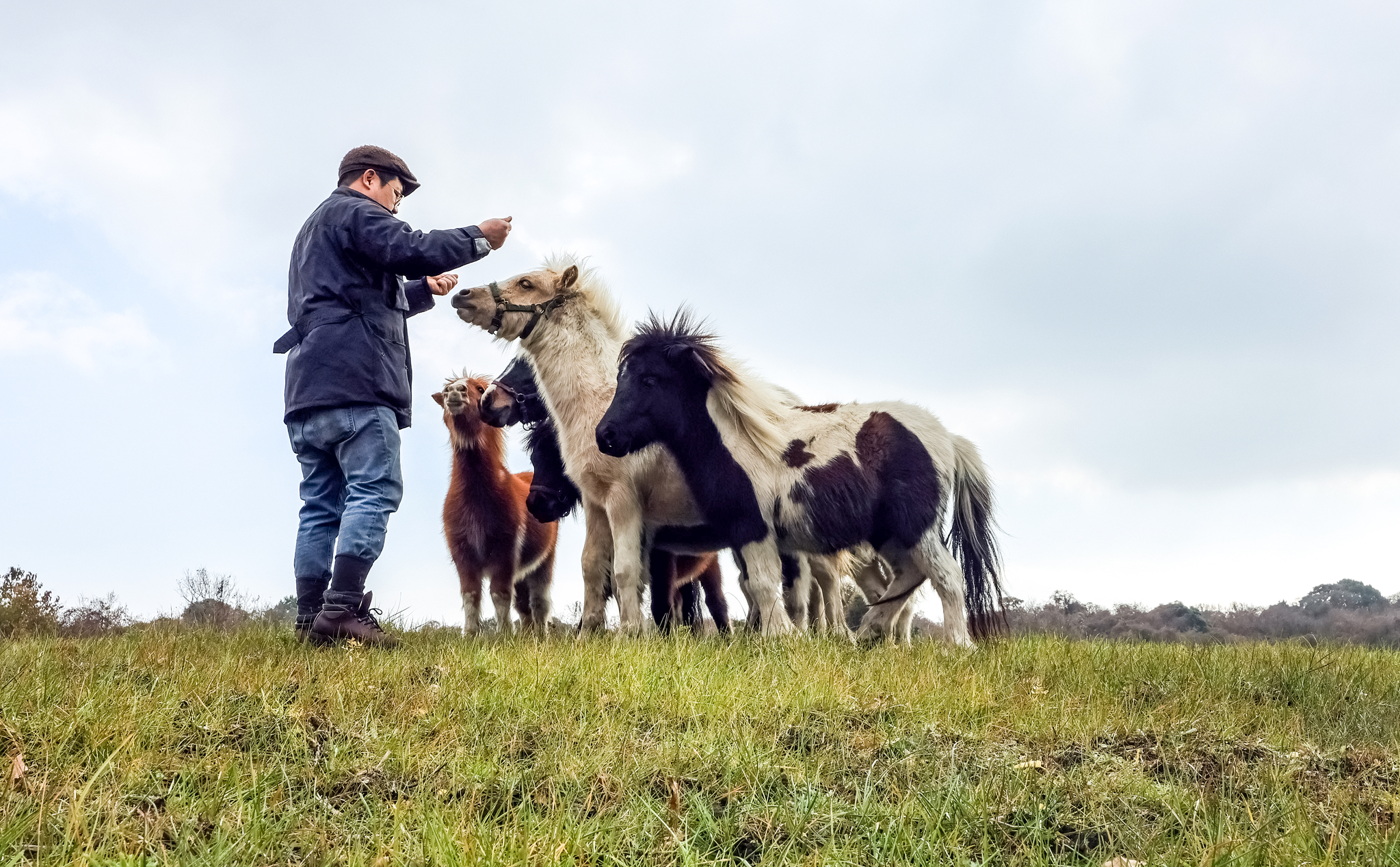  '작은 말 학교' 송대근 대표가 제주도 '작은말 케어 센터' 목장에서 말들에게 간식을 주고 있다.