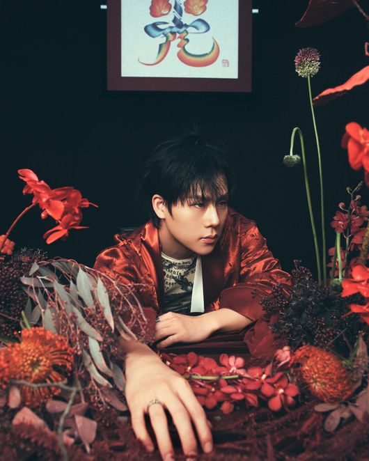 스타쉽엔터테인먼트 제공