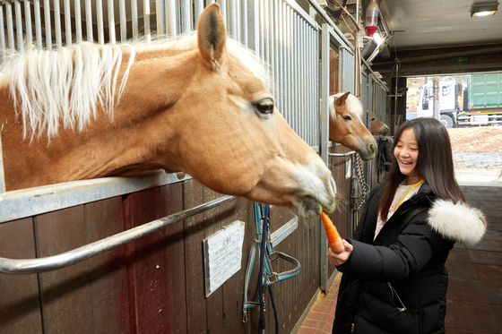 윤보영 학생기자가 말이 당근을 떨어뜨리지 않고 먹을 수 있게 잡아주고 있다. 