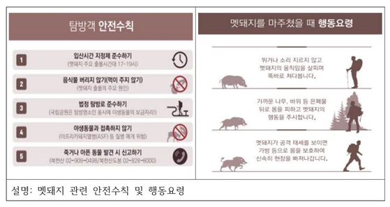 멧돼지 관련 안전수칙 및 행동요령. 그래픽 기후에너지환경부ㆍ국립공원공단