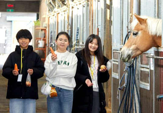말이 좋아하는 간식인 당근과 사과를 직접 먹여준 곽준혁·김도연·윤보영(왼쪽부터) 학생기자.