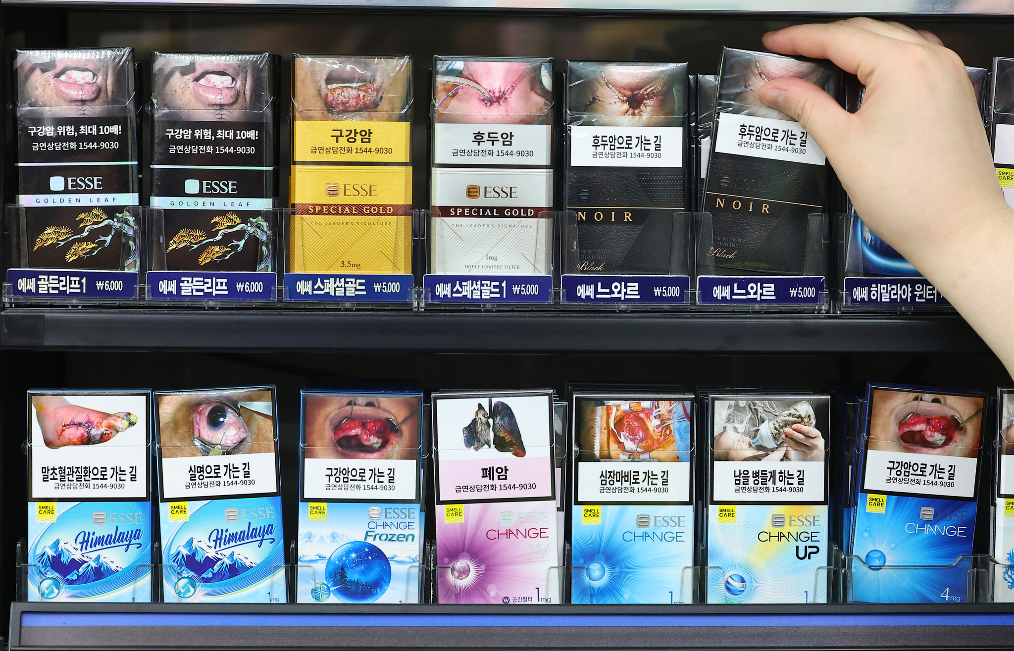 서울 시내의 한 편의점 담배판매대 모습. 담뱃갑 경고그림에 폐암 등이 표시돼있다. 연합뉴스