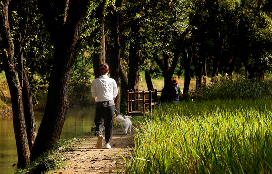 서울 강남구 공원 모습. 연합뉴스