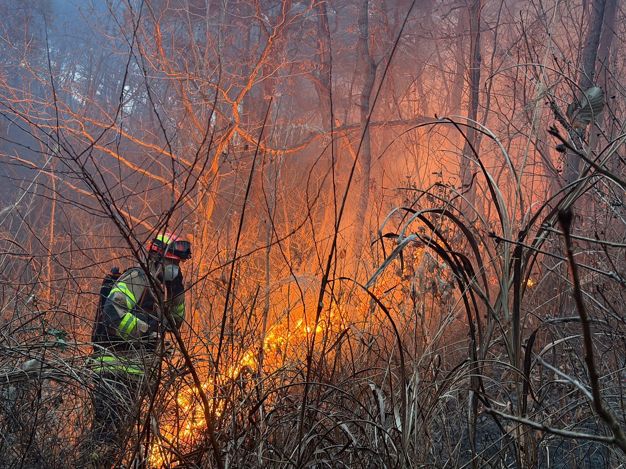 10일 오후 3시 14분쯤 경북 의성군 의성읍 비봉리의 한 야산에서 대형 산불이 발생해 소방 당국이 대응2단계를 발령하고 진화에 나서고 있다. 경북소방안전본부 제공