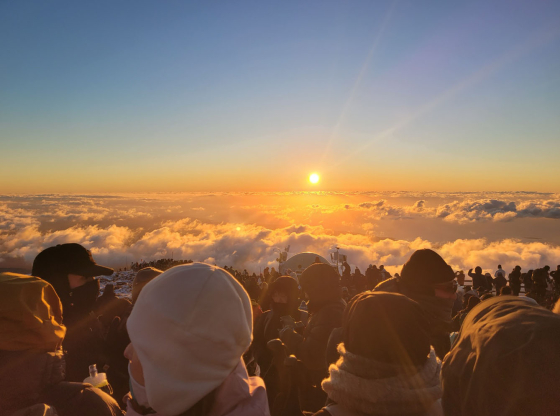 제주 해맞이 인파. 사진 연합뉴스