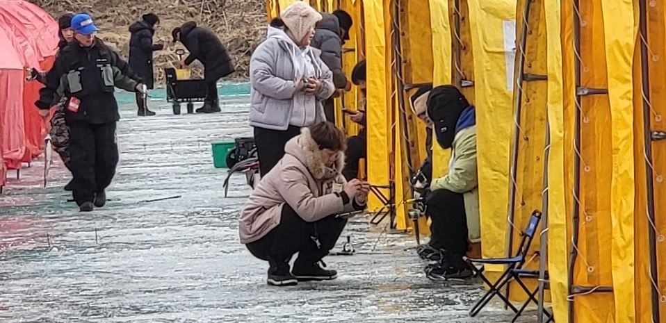 지난 9일 강원 평창군 진부면 오대천 일원에서 개막한 ' 평창송어축제'를 찾은 관광객들이 낚시를 즐기고 있는 모습. [뉴스1]