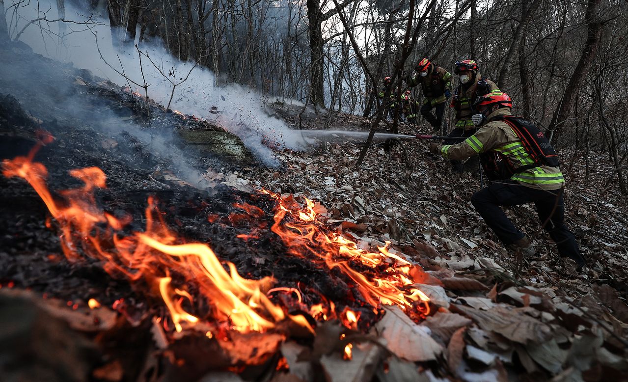 11일 오전 119산불특수대응단이 잔불 정리작업을 하고 있다. 연합뉴스