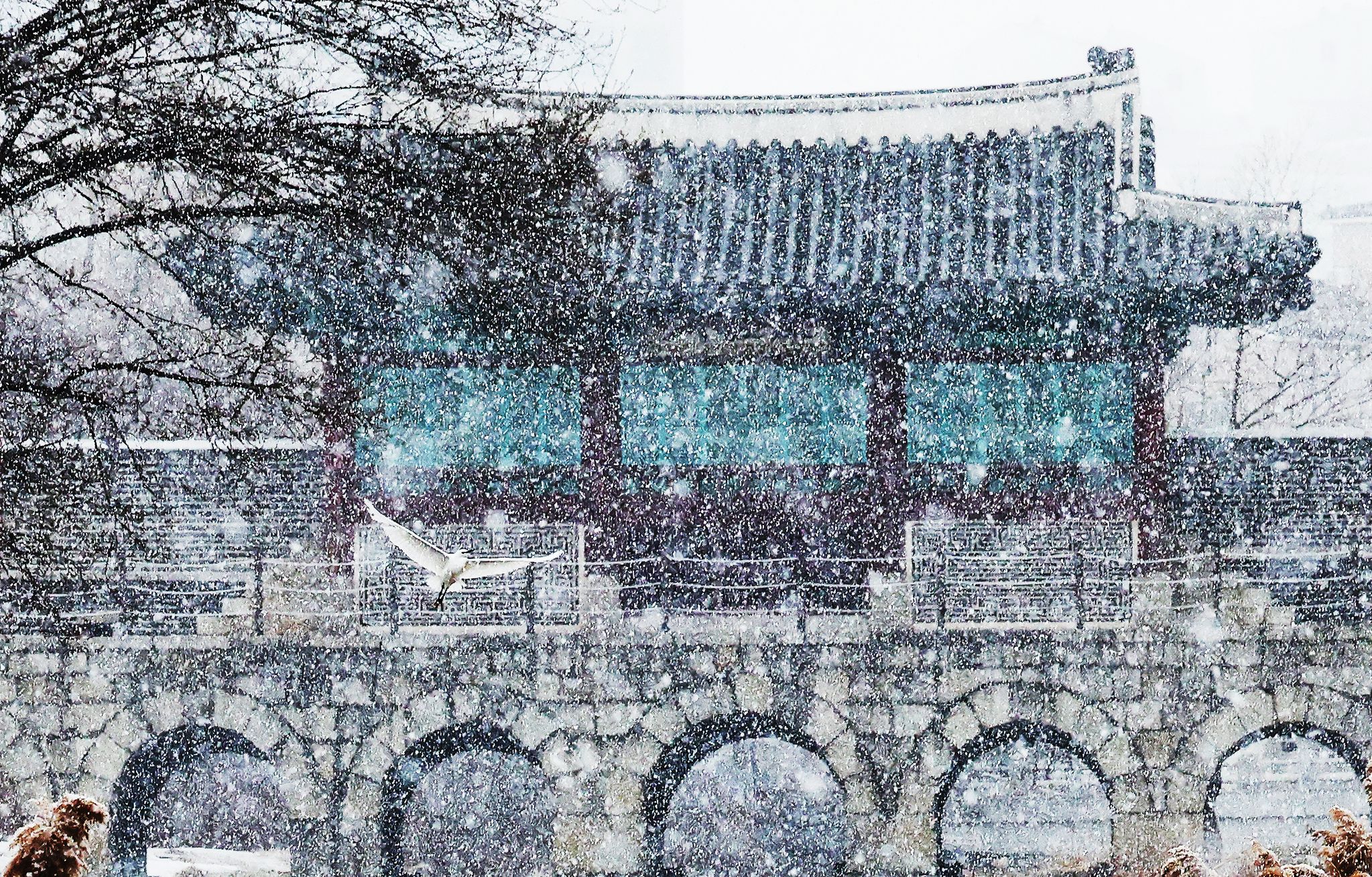 12일 경기도 수원시 세계문화유산 화성(華城) 화홍문에서 백로가 눈을 맞으며 날아가고 있다. 연합뉴스