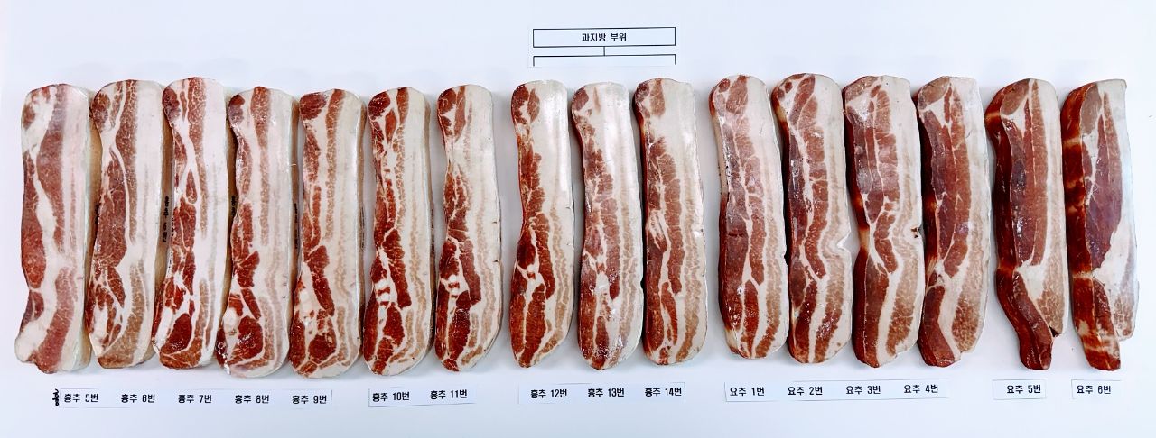 부위별 삼겹살. 흉추 12~14번이 주로 지방이 많은 부위다. 정부는 이렇게 지방이 많은 삼겹살을 '돈차돌'이라는 별도 명칭으로 구분해 유통하기로 했다. 사진 농림축산식품부 