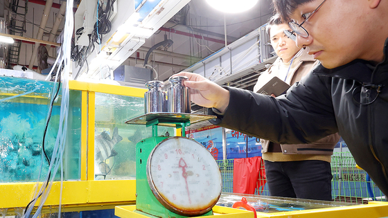 인천 남동구 소래포구 종합어시장에서 남동구청 합동점검반이 접시 형태 저울을 점검하고 있다. 연합뉴스