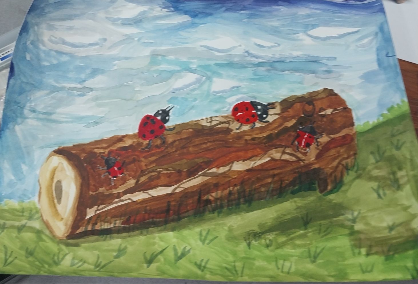 박승원군이 그린 무당벌레. 사진 누벨백미술관