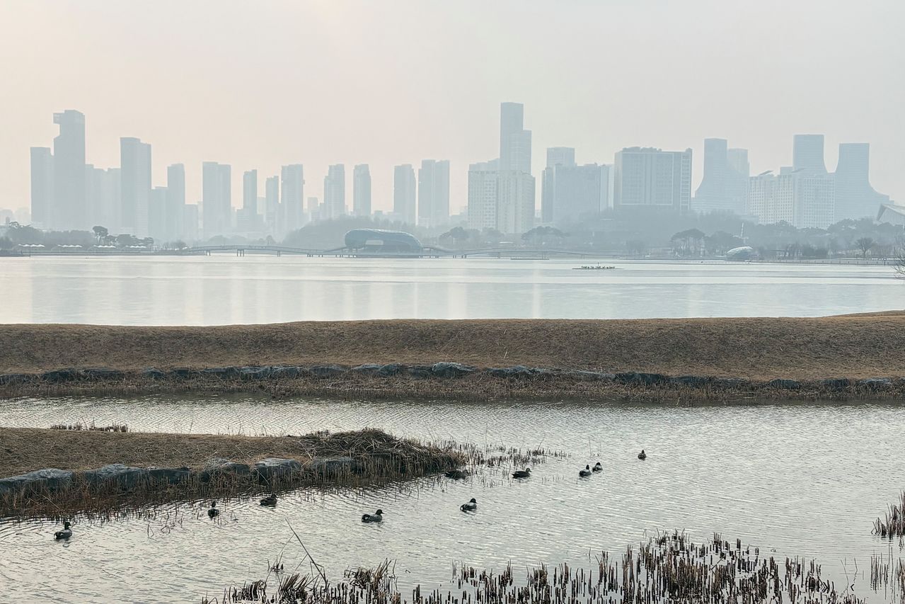 미세먼지와 황사 유입으로 대전, 세종, 충남 지역에 '초미세먼지 비상저감조치'가 발령된 15일 세종시 호수공원 너머로 아파트단지가 미세먼지로 뿌옇게 보인다. 연합뉴스