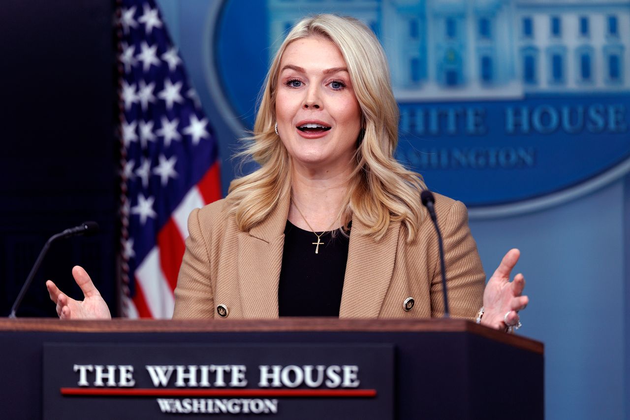 캐롤라인 레빗 미국 백악관 대변인이 15일(현지시간) 워싱턴 DC 백악관에서 언론 브리핑을 하고 있다. EPA=연합뉴스