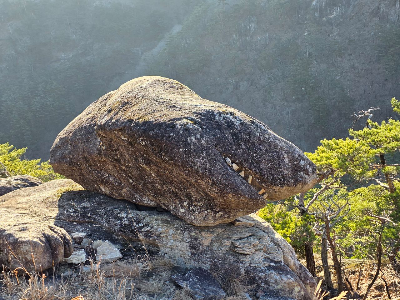 쉰움산 상어바위. 거대한 입과 무시무시한 이빨을 드러내고 있는 게 영락없이 상어를 닮았다. 정상 아래 돌탑 있는 암반에 있다.  
