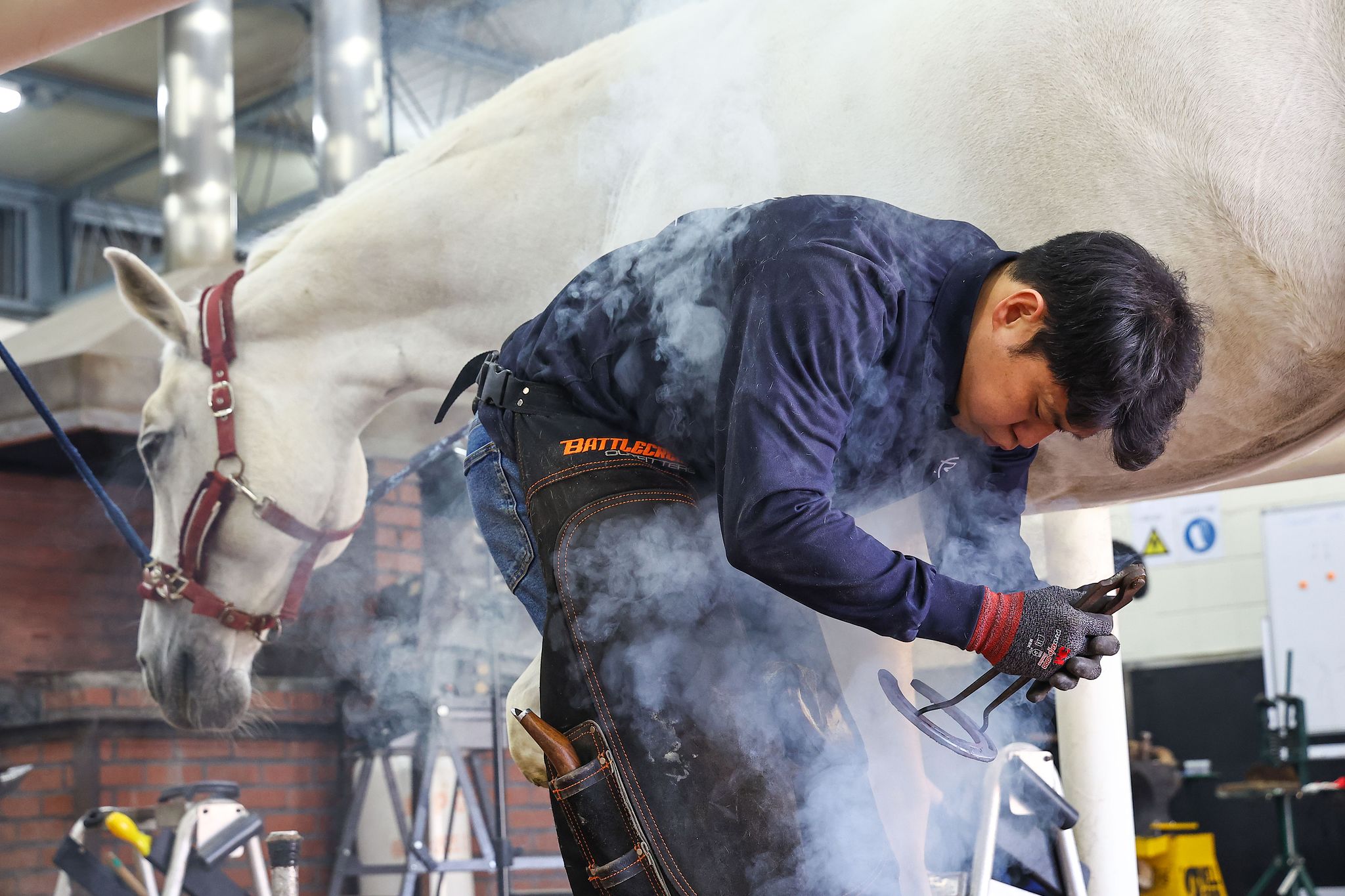 달궈진 편자를 발굽에 찍어보고 있다. 찍힌 자국을 보고 편자의 모양을 수정해 나간다.