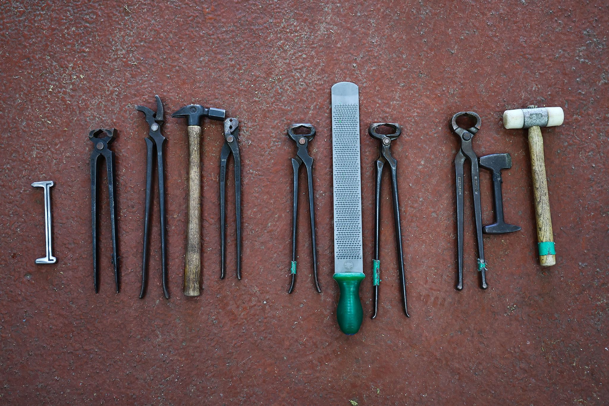 편자를 교체할때 쓰는 도구들.