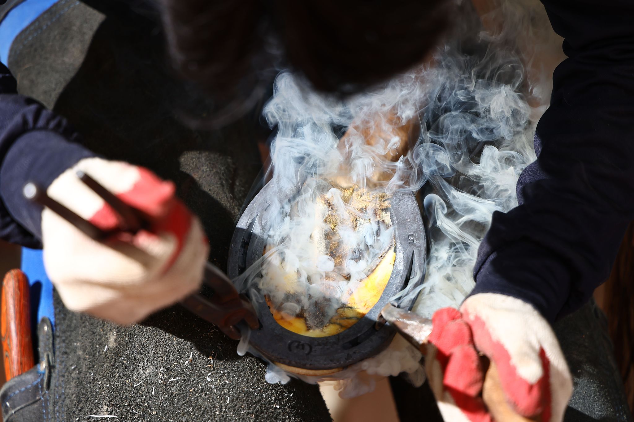 달궈진 편자를 집게로 집어 발굽에 대자 흰 연기와 함께 머리카락 타는 냄새가 진동한다.