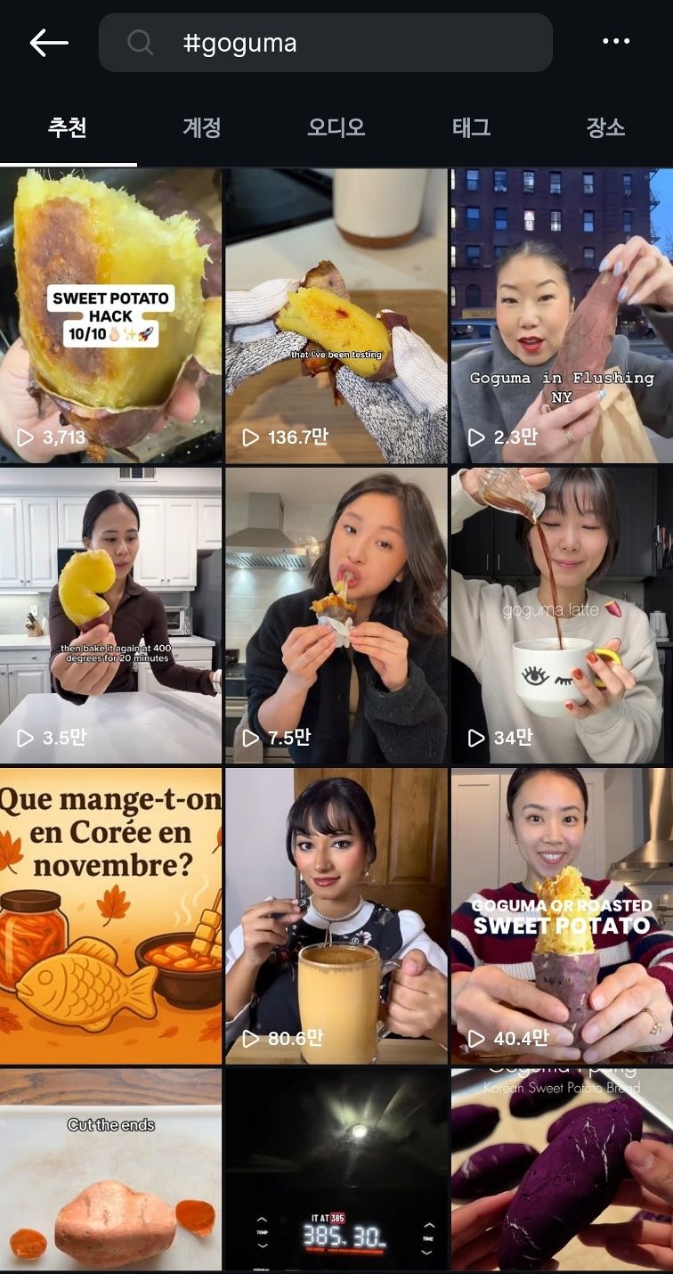 20일 인스타그램에 올라온 'goguma' 해시태그 담긴 게시물. 사진 인스타그램 캡처