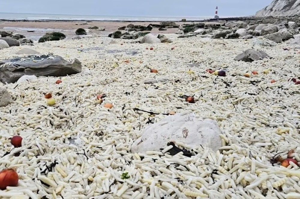 영국 남동부 휴양 도시 이스트본 해변에 감자튀김이 가득 쌓여있는 모습. 사진 엑스 캡처