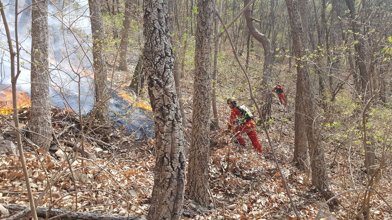21일 오후 3시 31분께 전남 광양시 옥곡면에서 산불이 나 산림청과 소방 당국이 진화작업을 벌이고 있다. 연합뉴스