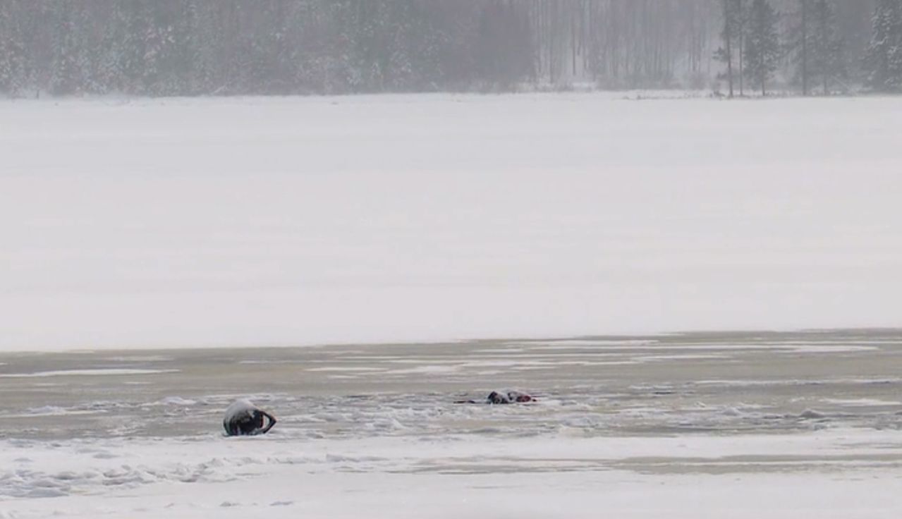 미국 뉴욕주 세인트로렌스 카운티 쇼몽 호수. 사진 유튜브 캡처