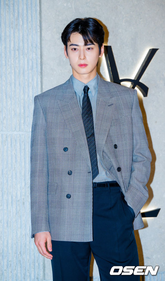 [OSEN=민경훈 기자] 31일 오후 가수 겸 배우 차은우가 3월31일 오후 서울 중구 신세계 백화점 본점에서 열린 한 럭셔리 브랜드 스토어 리뉴얼 오프닝 포토 행사에 참석했다.이 자리에는 차은우, 이청아, 김도연, 이종원, 김나영이 참석해 자리를 빛냈다.차은우가 입장하며 포즈를 취하고 있다. 2025.03.31 / rumi@osen.co.kr