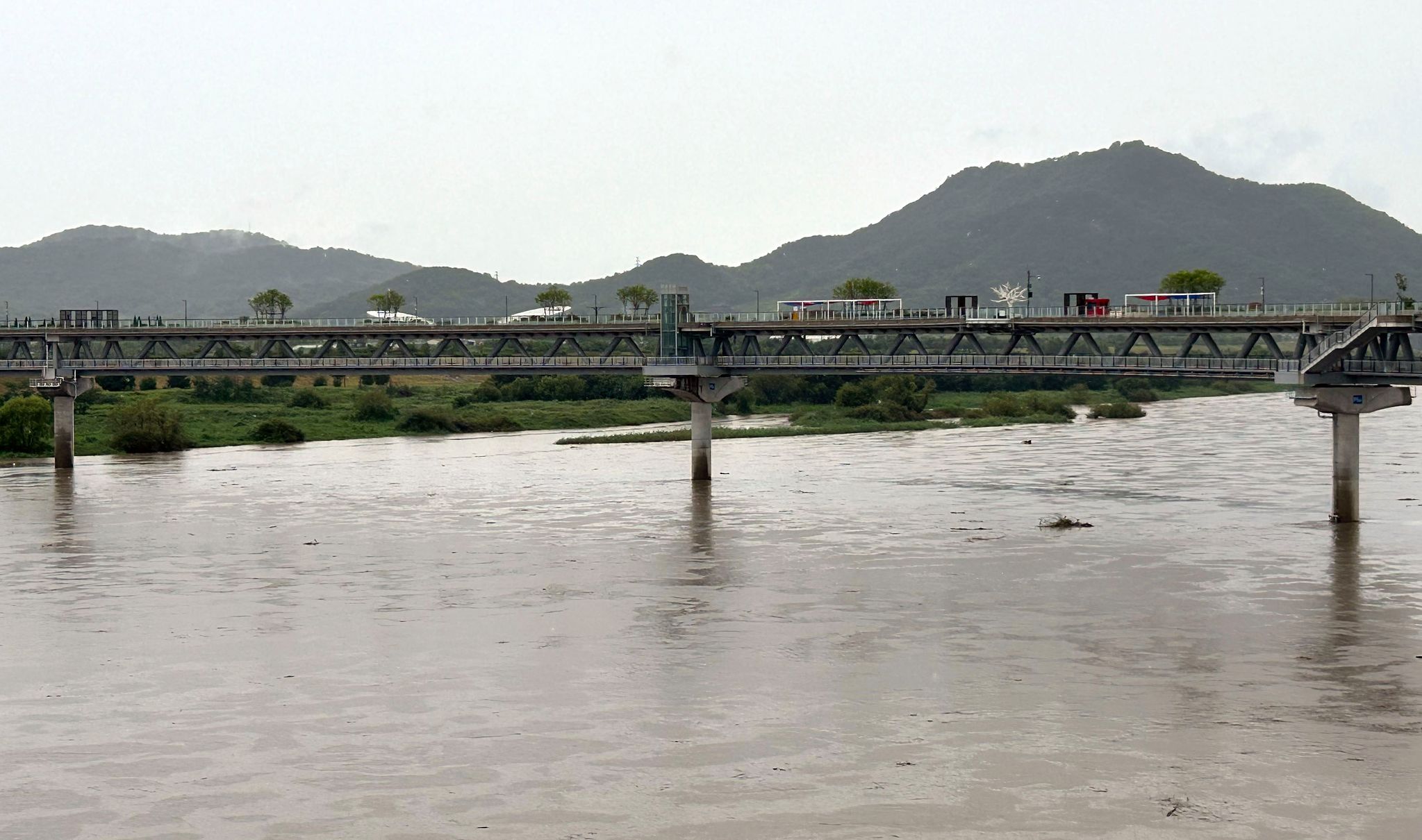 세종시 금강. 지난 2024년 7월 8일 오전 집중호우의 영향으로 세종시청 인근 금강이 흙탕물로 변해 흐르고 있다. 연합뉴스