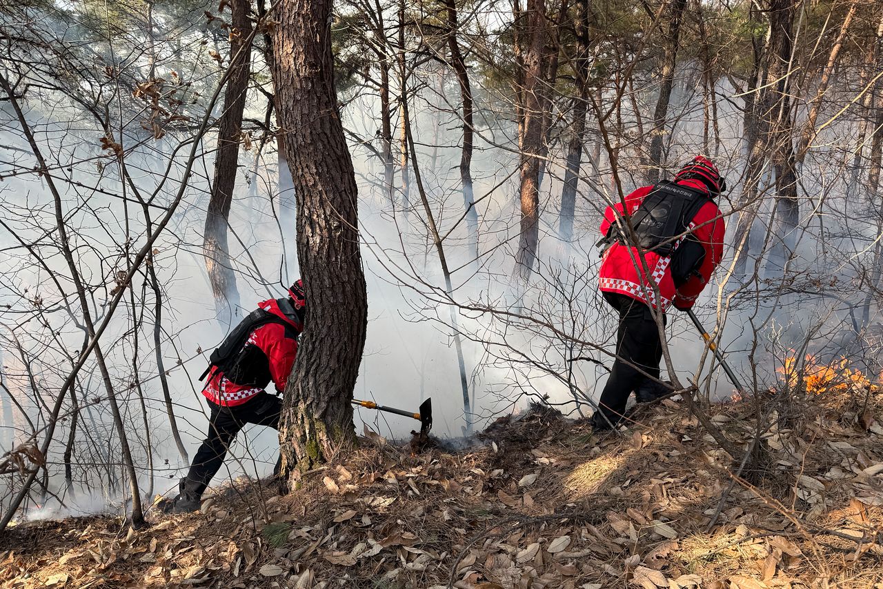 지난 24일 오전 10시25분쯤 경부 영주시 풍기읍의 야산에서 산불이 발생, 진화대원들이 진화작업을 벌이고 있다. [사진 산림청]