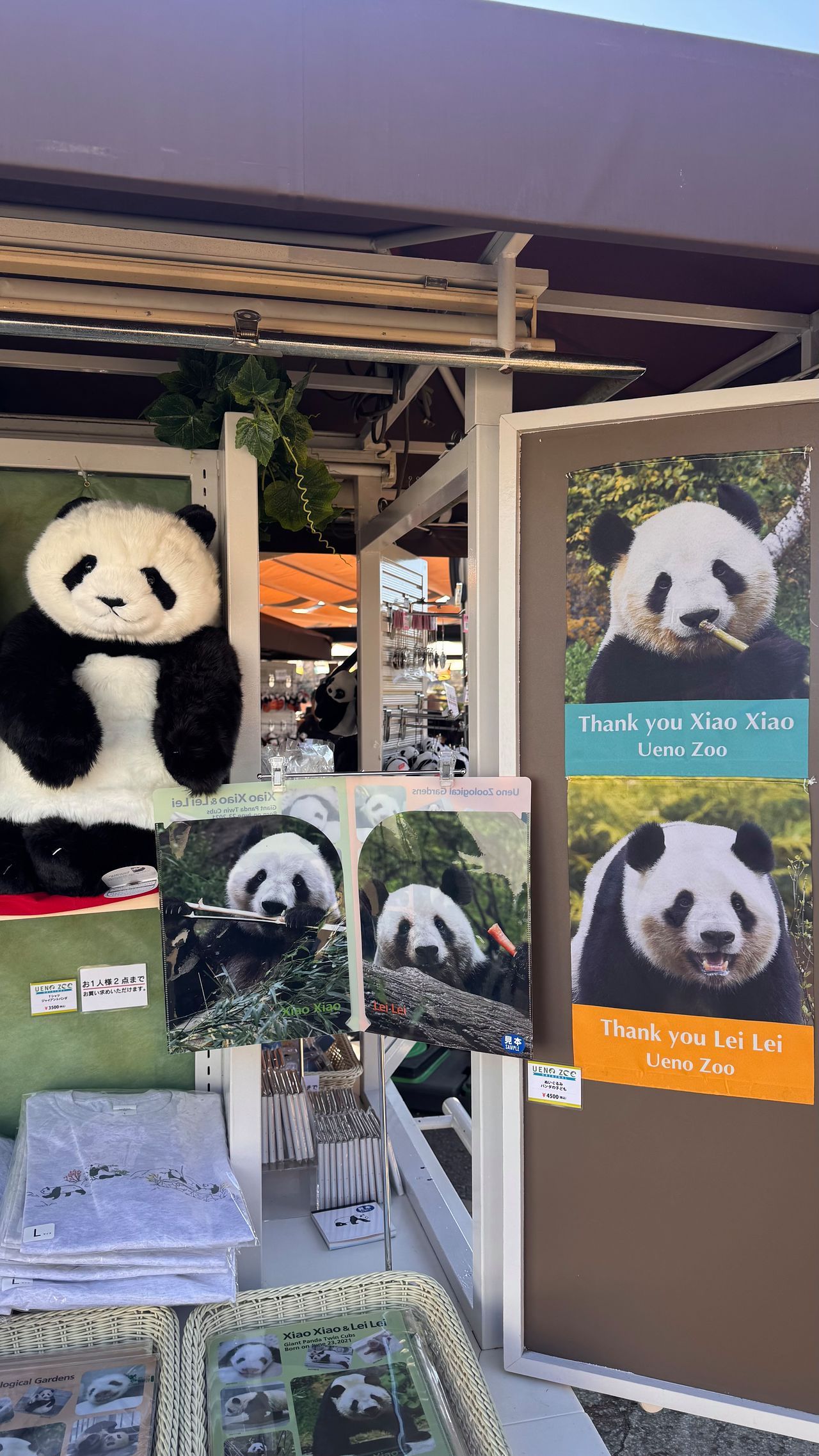 25일 도쿄 우에노동물원에서 판매되고 있는 판다 관련 굿즈들. 정원석 특파원